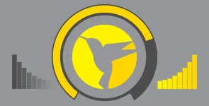 hummingbird.webp