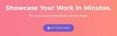 astra wp portfoilio.webp
